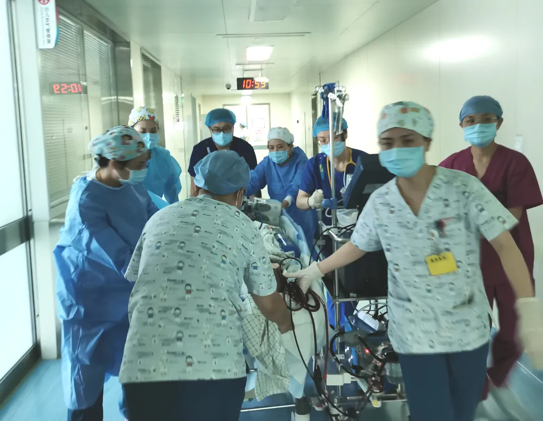 扩张性心肌病！应用ECMO急救，撑起生命的希望